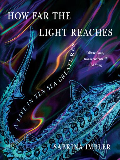 Cover image for How Far the Light Reaches